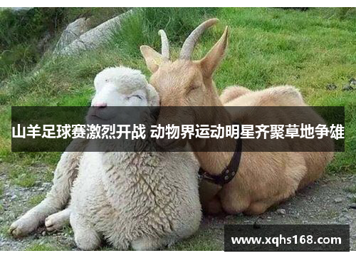 山羊足球赛激烈开战 动物界运动明星齐聚草地争雄